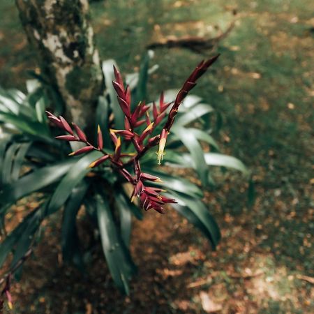 Terra Verde Maua Hotel Visconde De Maua Kültér fotó