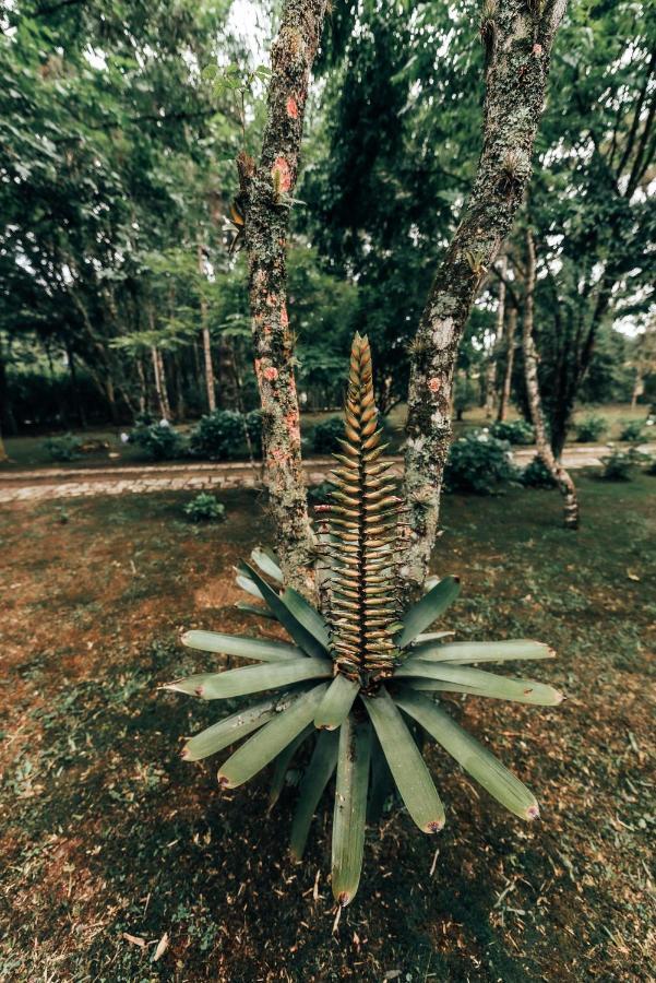Terra Verde Maua Hotel Visconde De Maua Kültér fotó